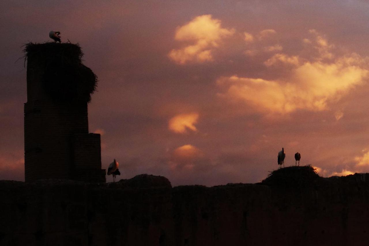 Riad Of The Storks - Exclusive Use For Up To 17 Persons Marrakesh Luaran gambar